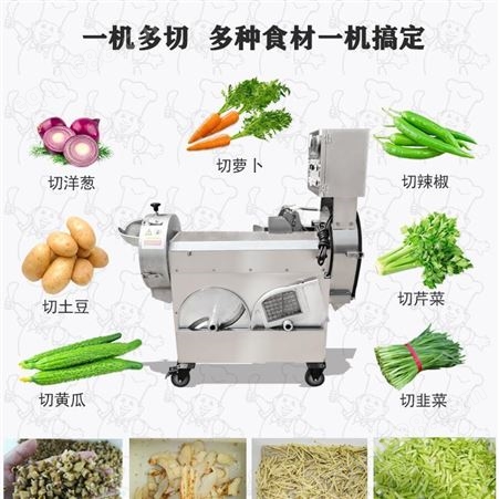 中国台湾双头切菜机 304多功能切菜机 全自动切片切丝切丁 食堂用切菜机