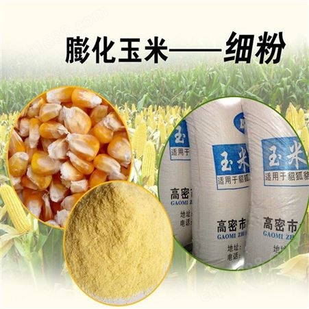 安徽饲料膨化玉米粉设备 泰诺玉米膨化机械整套设备