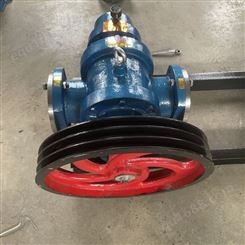 LC罗茨泵 皮带大流量稠油泵 不锈钢食品转子泵 高粘度沥青泵保温泵