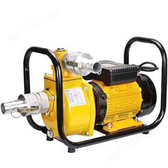 自吸齿轮油泵 220V手提式电动抽油泵 小型防爆抽高粘度机油柴油泵