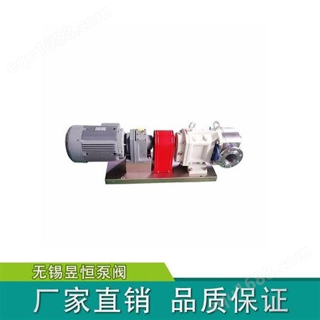 供应转子泵-吉安转子泵厂家-不锈钢高粘度转子泵服务保证