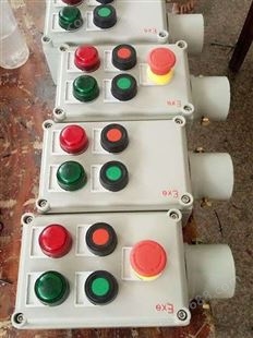 铸铝两灯两钮一表挂式操作柱 BZC51-A2D2B1G