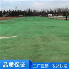 绿化遮阳覆盖盖沙盖煤 联谊绿色工地防尘网 定制