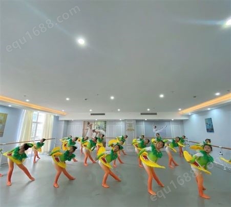 舞蹈地胶 美立德地板 健身房地胶全国安装 多功能地胶训练专用