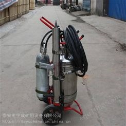 泰安宇成QWMT35推车式脉冲气压喷雾水枪品质优