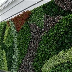 苏州室外生态植物墙定制 网红仿真植物墙