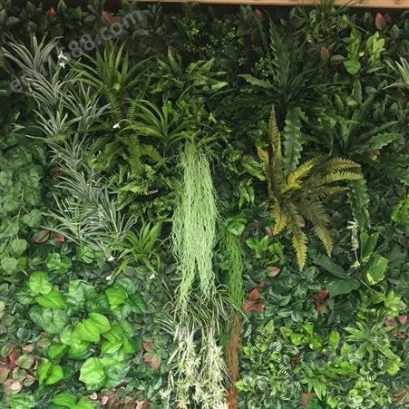 苏州室外生态植物墙定制 绿色仿真植物墙