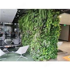 生态植物墙施工 无锡环保生态墙植物制作
