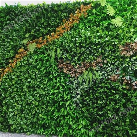 苏州室外生态植物墙定制 绿色仿真植物墙