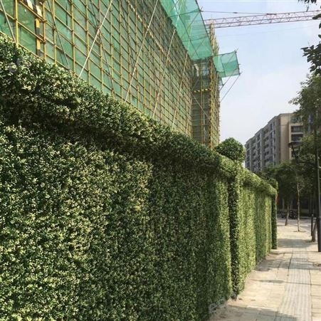 无锡植物墙订购  绿墙供应