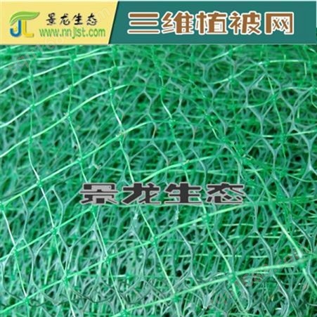 厂家定做生产三维植被网 现货三维土工网垫 量大可优惠三维网