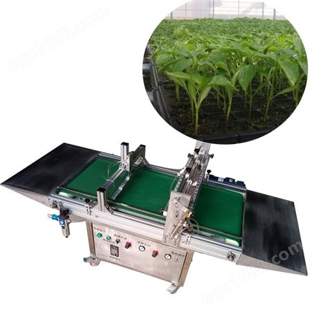 自动化蔬菜穴盘育苗播种机 适用大面积育苗厂 不同大小粒种子 穴盘育苗点种机