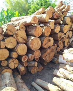 硬杂木批发价多少  供应硬杂木  专业加工硬杂木