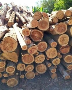 硬杂木批发价多少  供应硬杂木  专业加工硬杂木