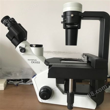 Olympus奥林巴斯 倒置显微镜 CKX53 CKX41 CKX31 奥林巴斯荧光显微厂家 显微镜现货供应 售后有保障