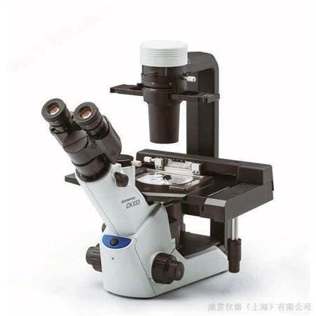 Olympus奥林巴斯 倒置显微镜 CKX53 CKX41 CKX31 奥林巴斯荧光显微厂家 显微镜现货供应 售后有保障