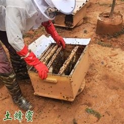 卖纯蜂蜜电话 云南蜂蜜的功效和作用 土蜂蜜食用使用方法
