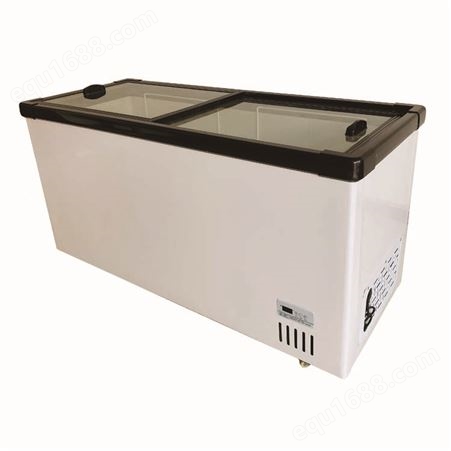 商用冰柜 大容量冷冻冷藏冰柜 青岛新贝尔冷柜冰柜