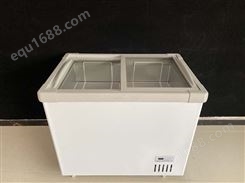 青岛工厂 新贝尔冰柜大容量冰柜 节能家用商用冷柜