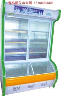 冷冻展示玻璃门展示冰柜 冷藏冰柜 超市专用冰柜 拉门冰柜
