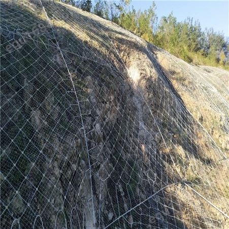 环形边坡网山体落石防护网 启格实力商家 堤坡加固网