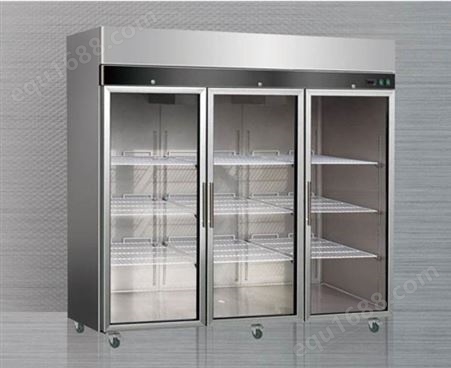 六门冰箱 立式冷藏冷冻冰柜 工厂食堂厨具  全国联保
