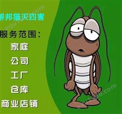 广州朱村除蚊子灭白蚁 杀蟑螂 消灭老鼠上门价格多少