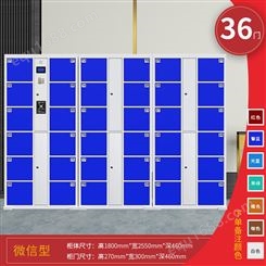 苏州电子存包柜厂家 人脸识别系统智能储物柜 迪泰 DT-CBG-324