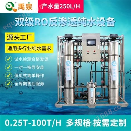 YQ-RR250禹泉双级反渗透纯水设备二级RO设备工业级水处理设备可指导安排