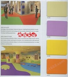 彩丽 纸耐磨防滑纯色儿童卡通舞蹈艾琪尔幼儿园PVC地板革塑胶地板价格实惠