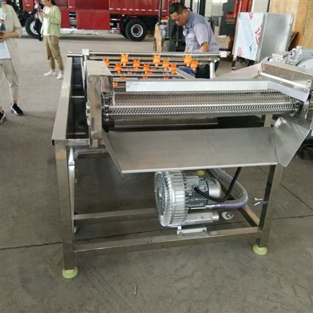 海诺机械厂家定做型果蔬气泡清洗机 多功能蔬菜清洗机 304不锈钢洗菜机